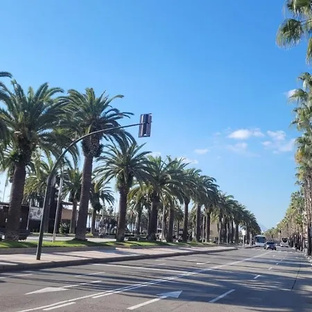 Apartmán Platan *