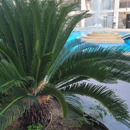 Platan Apartment *