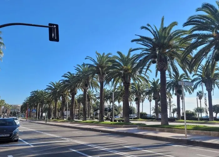 Platan * Salou